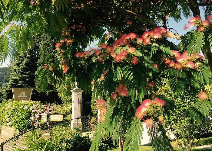 Haus Marianne 3* Millstatt