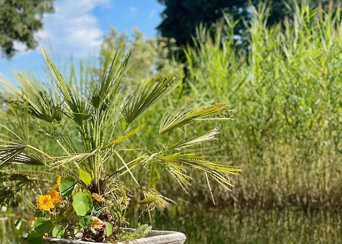 Haus Marianne Bed and Breakfast